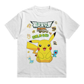 PIKACHU IMPORT